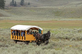 Old West Dinner Cookout wagon on Yancey's Hole trail in Yellowstone National Park; Date: 5 August 2014
