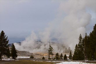 Castle and Grand Geysers in the Upper Geyser Basin in Yellowstone National Park; Date: 17 November 2015