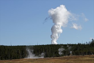 Steam phase of Steamboat Geyser, Norris Geyser Basin in Yellowstone National Park as seen from Elk Park ; Date: 4 September 2014
