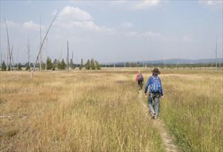 Hikers crossing a large flat, open meadow. Sentinel Meadows Trail in Yellowstone National Park; Date:  7 August 2017