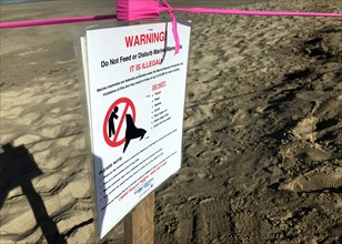 A sign advises beachgoers to avoid disturbing marine wildlife after an unusual number of ill or deceased marine wildlife washed up on Ventura and Santa Barbara county beaches