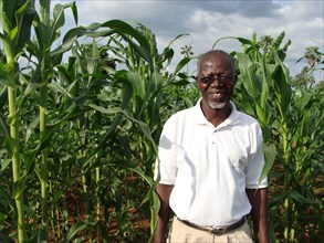 A man in Ghana stands next to a field of maize (corn)  ca. 29 May 2011