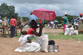 A food distribution in Mwenezi district in January 2017, during the height of Zimbabwe's drought ca. 14 January 2017
