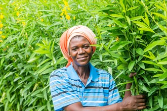 Female Zimbabwean farmer standing next to her crop ca. 21 March 2016