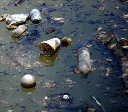 Close up of cups and plastic bottles in dirty water (water pollution)