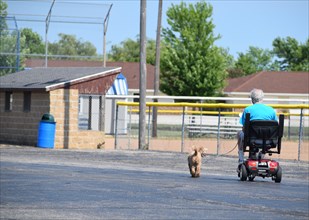 An elderly man on a motorized wheel chair takes his dog for a walk; Cissna Park, IL