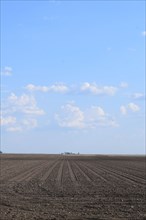 Recently planted farmland in east central Illinois