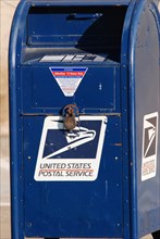 A U.S. Postal service mailbox, padlock on the front of the box