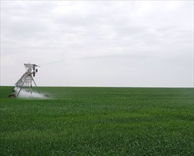 A Zimmatic Irrgiation machine watering crops on the plains of Eastern Colorado