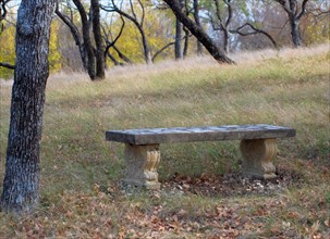 An empty stone bench in the woods on an autumn day