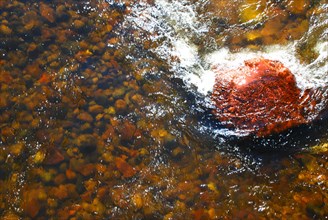 Red rock in the rushing water of a creek