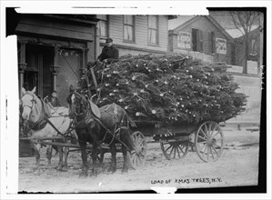 Wagonload of Christmas trees