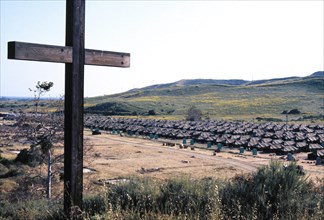 A view of tents erected at one of the temporary housing facilities