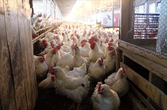2014 USDA visit to Seldom Rest Farms