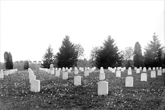 A view of Arlington National Cemetery