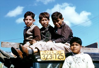 Boys sitting on truck parked at the FSA ... labor camp