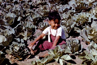 Child of a migratory farm laborer