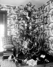 Christmas tree with presents in early 1900s home.