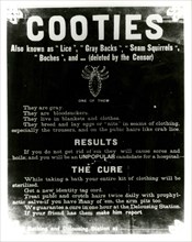 Cooties also known as 'lice'