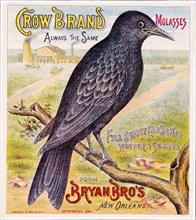 Crow brand molasses. Bryan Bro's New Orleans