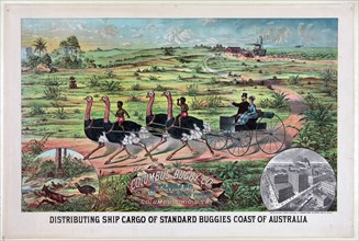 Distributing ship cargo of standard buggies coast of Australia