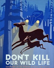 Don't kill our wild life