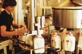 Employee works at a regional dairy in 1970s Minnesota