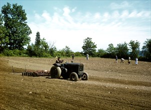Farmer on tractor in a field and workers in background ca May 1942