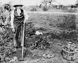 Farmer with hoe standing next to harvested bucket of potatoes