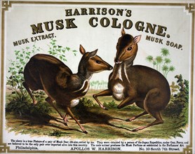 Harrison's musk cologne. Philadelphia