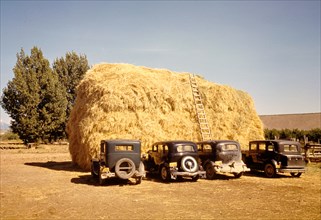 Hay stack and automobile of peach pickers
