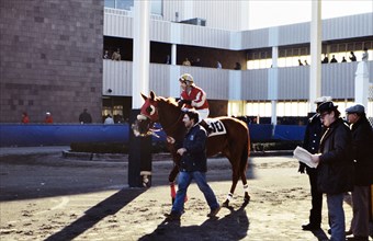 Jockey and trainer with Race horse