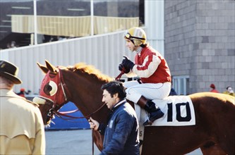 Jockey and trainer with Race horse