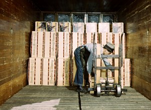Loading oranges into a refrigerator car at a co