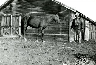 Man and Horse in Front of Barn ca 1947