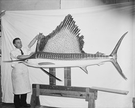 Man with large fish