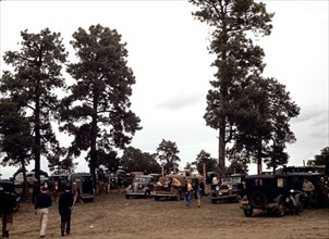 Many automobiles were parked in the grove