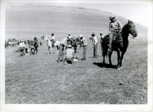 Men on Foot and Horseback Branding Cattle ca 1938