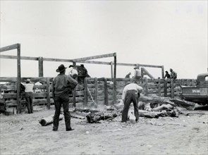 Men Working with Large Logs ca 1938