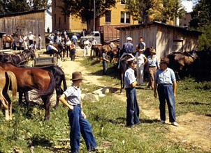Mountaineers and farmers trading mules and horses