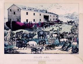 Noah's ark ca 1856