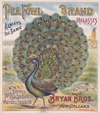 Pea Fowl brand molasses. Bryan Bros. New Orleans
