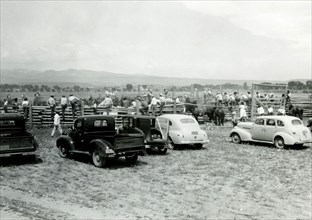 People, Horses, and Cars Gathered in Field