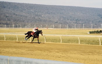Race horses racing at Penn National Horse Race Track in Grantsville