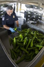 Agriculture Specialist inspects a shipment of peppers