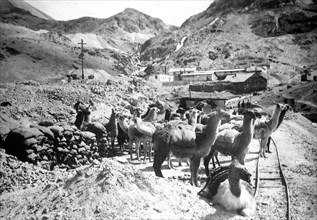 Rural village in Peru with llamas in the foreground