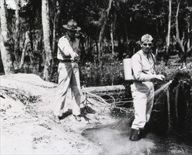 Spraying insecticide in swamps