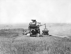 Tractor drawn combined harvester and thresher in field of Federation wheat