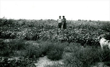 Two People Standing in Field with Tools 1936