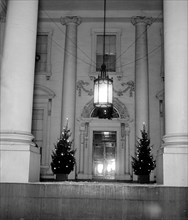 White House entrance Christmas tree